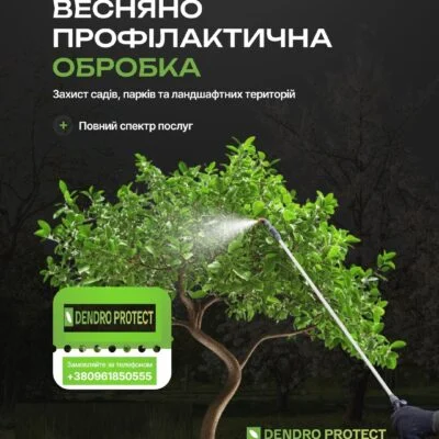 DENDRO PROTECT — професійний догляд за деревами, садами та ландшафтними територіями